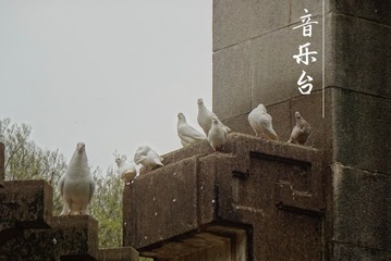 7822DA81-F0BD-4B65-8D93-372749764904/L0/001