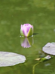 853764FC-1E52-467F-84C2-1721C3FDE3D4/L0/001