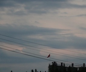 1731758A-49E6-470E-B007-4E1160F26D10/L0/001