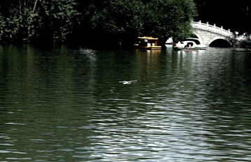 _MG_9045.JPG