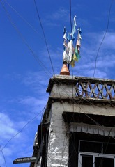 _MG_8843.JPG