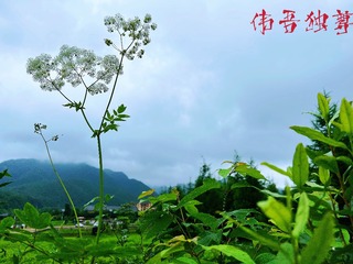 BB676AA6-322C-4C16-B48A-BFA2DC6D60EE/L0/001