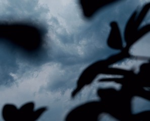 1C56F2AE-2FCF-4A71-B94E-149A2BC9F978/L0/001