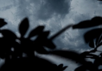 C531E0EC-71BE-4E5D-8BD1-8CEDEDD5C71E/L0/001