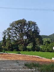 1000023645