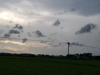 68439