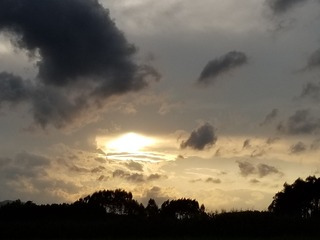 68463