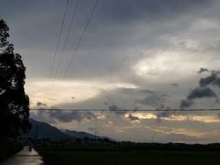 68441