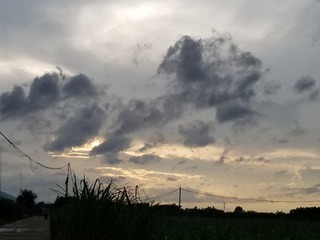 68456