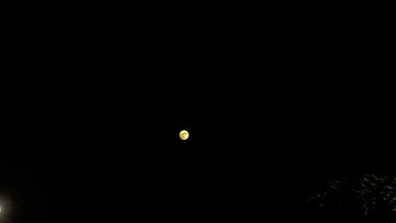 434A57B7-224A-4C58-A231-8205043613D4/L0/001