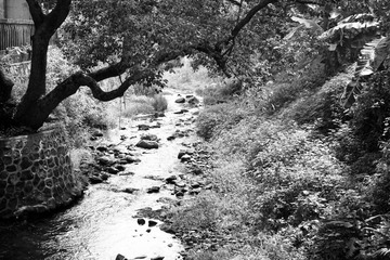 DSCF9087-1.JPG