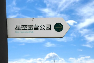 17338