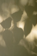 D479EEB3-0D7C-4C04-898D-DDCE12C4A197/L0/001