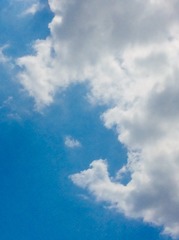 252270BF-206A-4F2B-B7E7-FD5C0B672B4C/L0/001