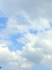 5C54C27A-C780-4047-A3B7-339E3755986C/L0/001
