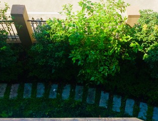 3FF6DF86-CEC1-42EC-9713-765771E799E8/L0/001