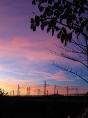 A1F4483E-721D-40C2-9807-64A93DCA1419/L0/001