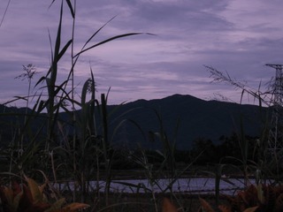 04EB250D-2BCF-4843-AB70-B863A5BEA2D1/L0/001