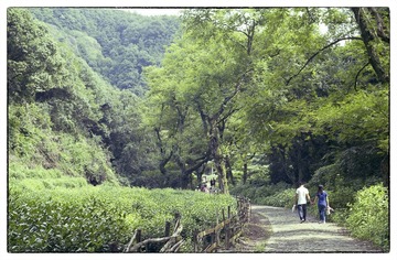 Scan-120826-0035.jpg