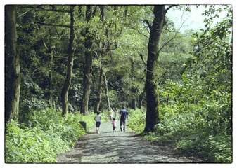 Scan-120826-0037.jpg