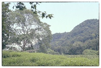 Scan-120826-0005.jpg