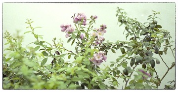 Scan-120826-0018.jpg