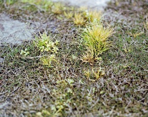 20131029-6