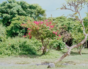 20140404-7
