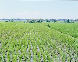 20140401-7-2