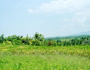 20140401-2-2