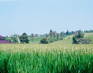 20140401-10