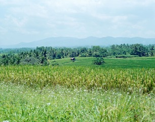 20140401-1-4