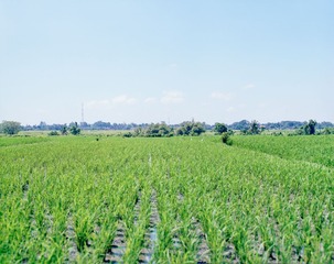 20140330-8