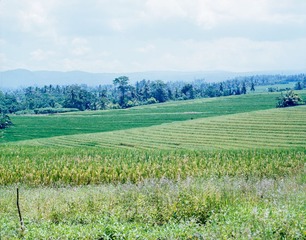 20140330-2