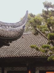 B023E288-D5D2-441A-8945-4E01B2530355/L0/001