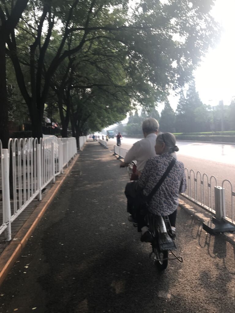 入秋后某天早上去地铁站路上看到了