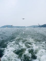 0C43FEB3-D91C-4A9F-AA60-79B13EE1930A/L0/001