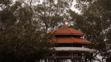 A650C363-2DC4-42A8-9DBC-4A989D46F79B/L0/001