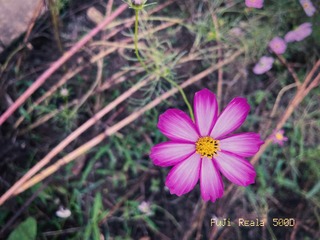 4534086A-60AE-4F38-ADFB-A794FA1450E9/L0/001