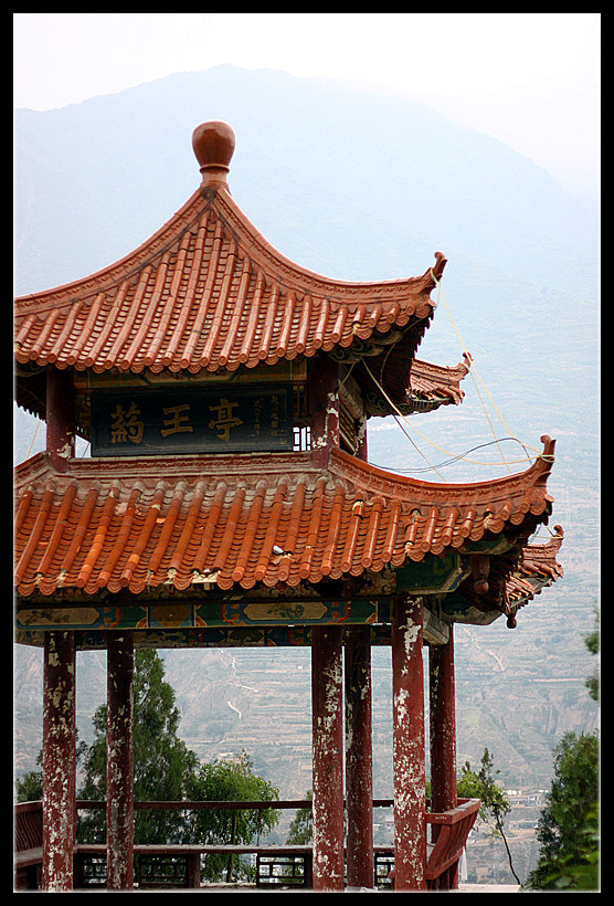 武都植物园