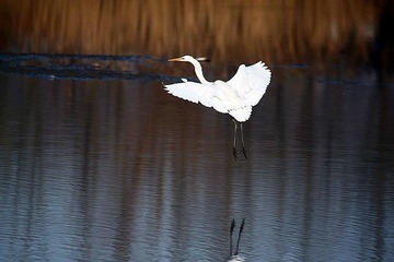 IMG_3441_副本.jpg