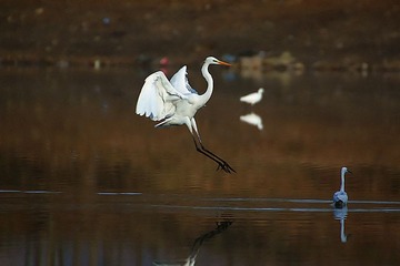 IMG_3474_副本_副本.jpg