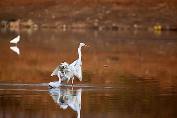 IMG_3477_副本_副本.jpg