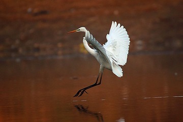 IMG_3681_副本.jpg