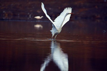 IMG_3699_副本_副本.jpg