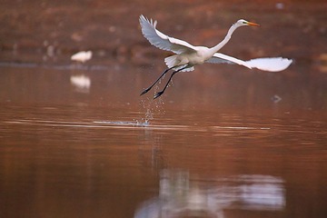 IMG_3700_副本_副本.jpg