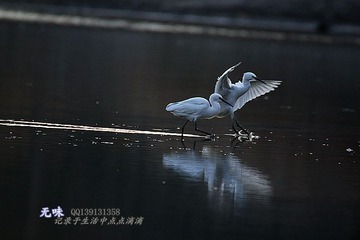 IMG_4799_副本.jpg