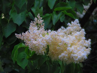 65C999B1-5F3D-49C4-A353-046AF814A558
