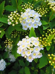 BB3303E2-DD1E-4A97-B32F-C13153F692F2