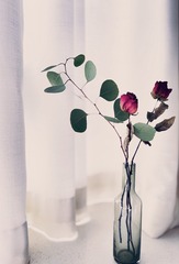 17F8F8FC-7CA6-4A2B-990B-25FFAC002E8D/L0/001